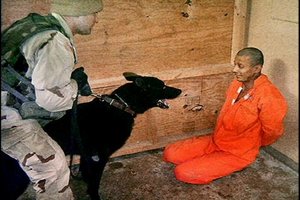 300px-Guantanamo-dog.jpg