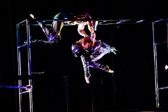 gallery_photo13.jpg