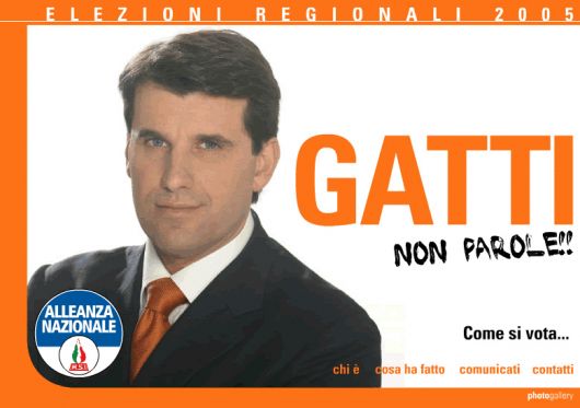 gatti.jpg