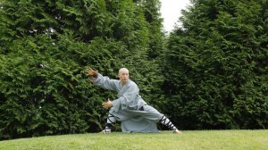 Wu Shu