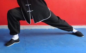 Questo non è Hung Gar, è spazzatura