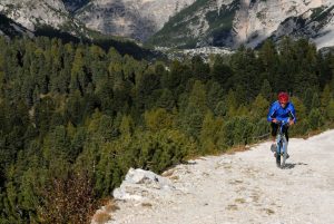 il manifesto in movimento