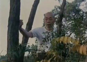 Chan Hon Chung training Tit Sin Kuen