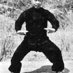 chan hon chung - sei ping mah