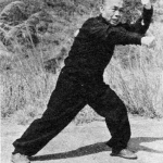 chan hon chung