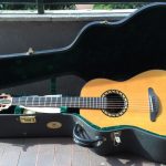 Ovation guitars for sales