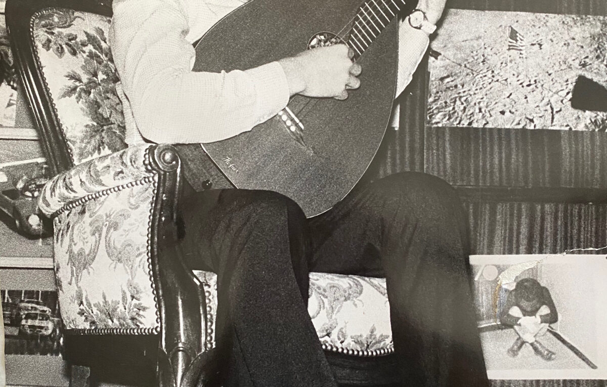 Liuto chitarra Hofner 1969